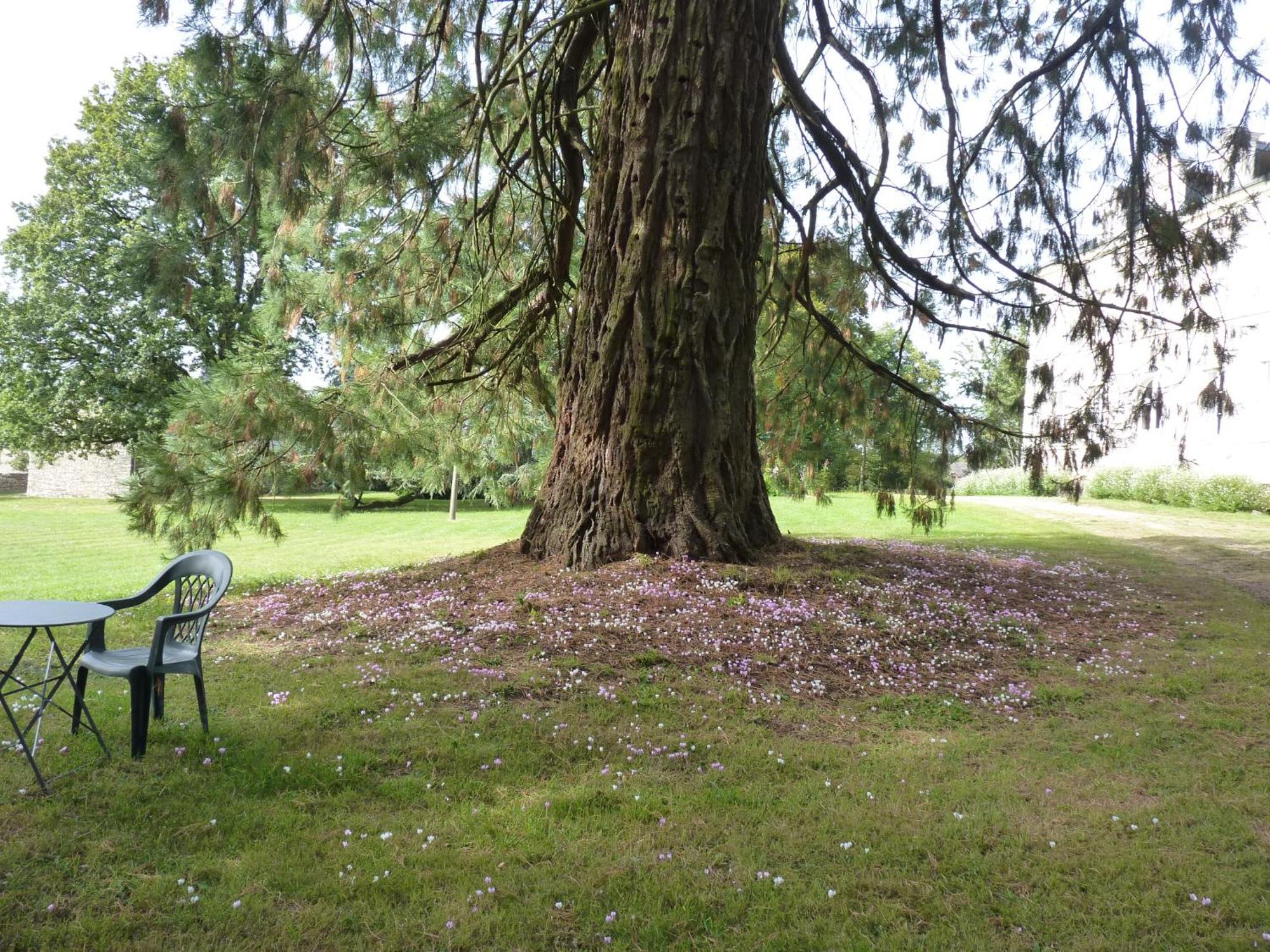 Bed & Breakfast Chateau De Craon 3*